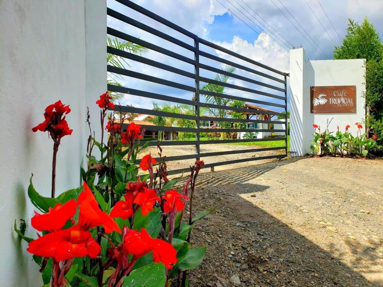 Hotel Campestre Cafe Tropical Quimbaya Dış mekan fotoğraf